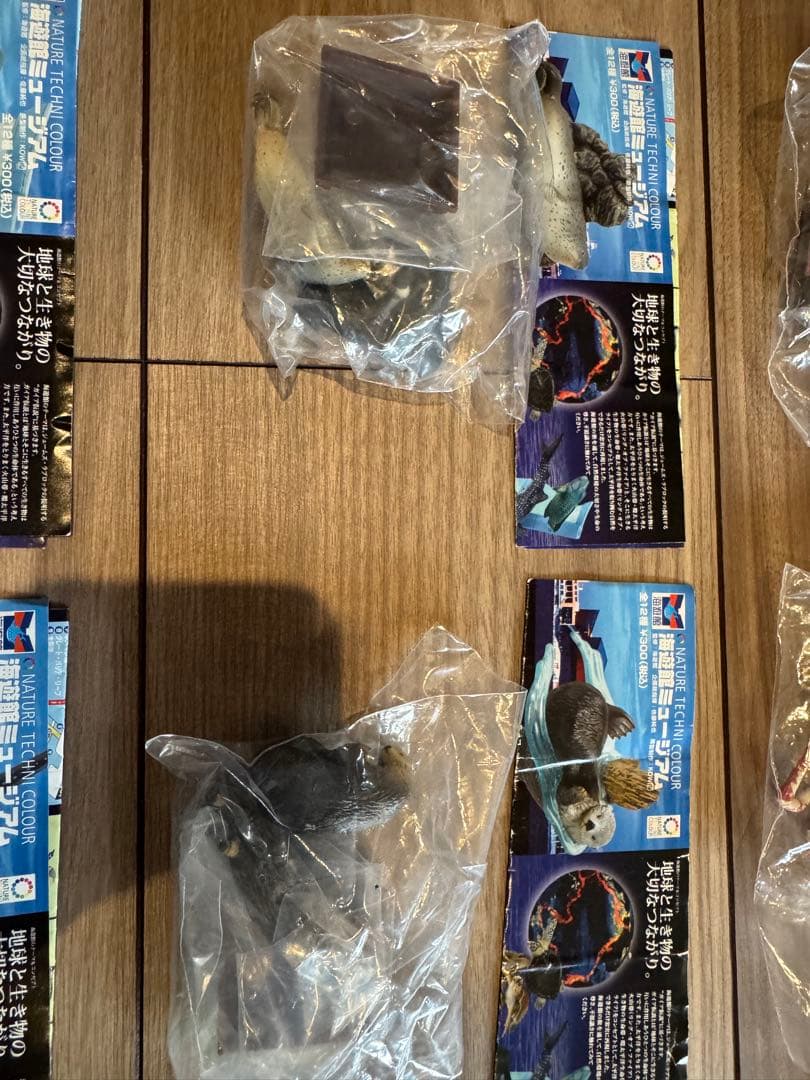 海遊館　ネイチャーテクニカラー　未開封　11種類