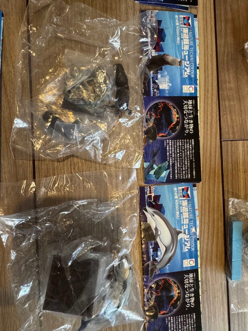 海遊館　ネイチャーテクニカラー　未開封　11種類