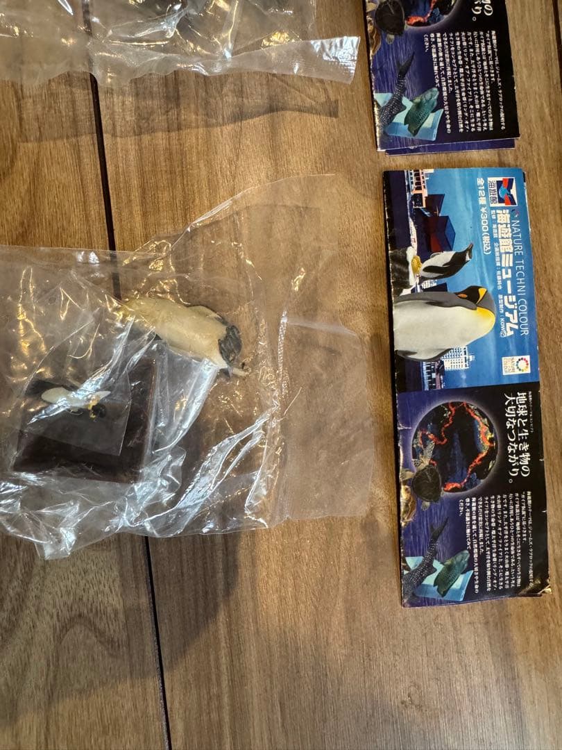 海遊館　ネイチャーテクニカラー　未開封　11種類