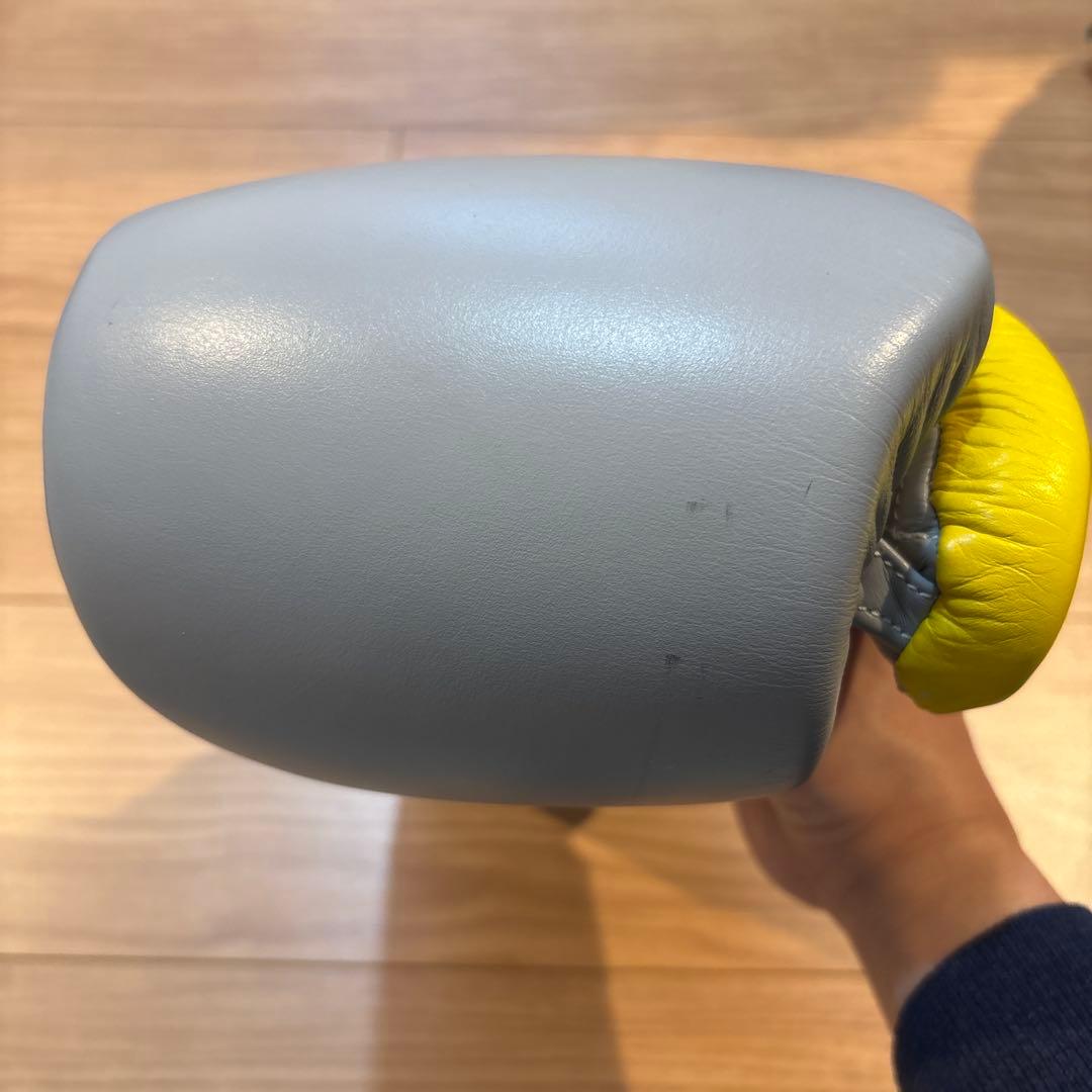 PRIZE RING ボクシンググローブ 14oz とパンチングミット