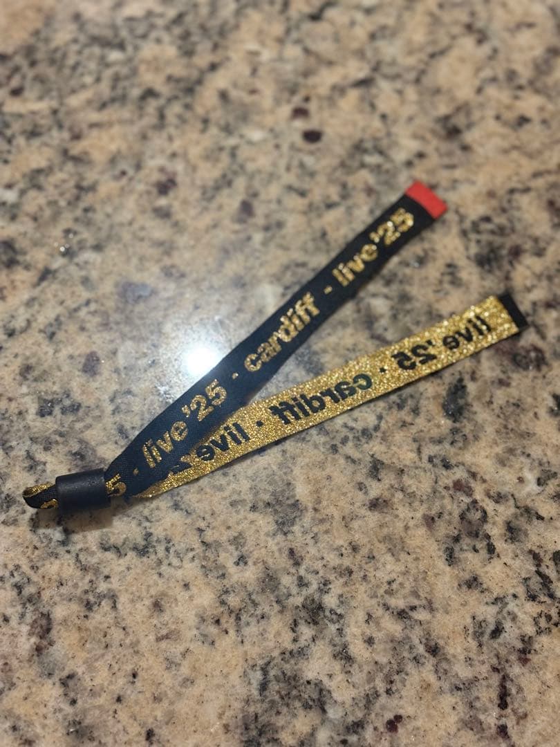 OASIS VIP限定特典 UKツアー cardiff オアシスLIVE25