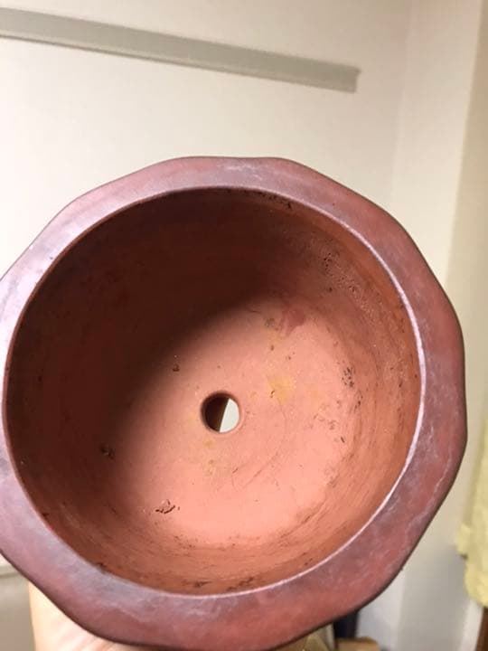 盆栽鉢　時代中国朱泥花型梅花図ミニ盆栽鉢13.5x7.3cm