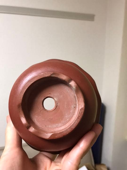 盆栽鉢　時代中国朱泥花型梅花図ミニ盆栽鉢13.5x7.3cm