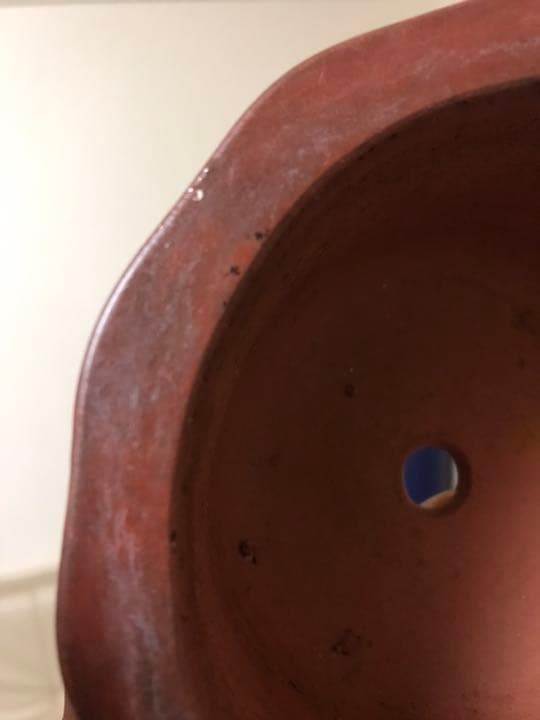 盆栽鉢　時代中国朱泥花型梅花図ミニ盆栽鉢13.5x7.3cm