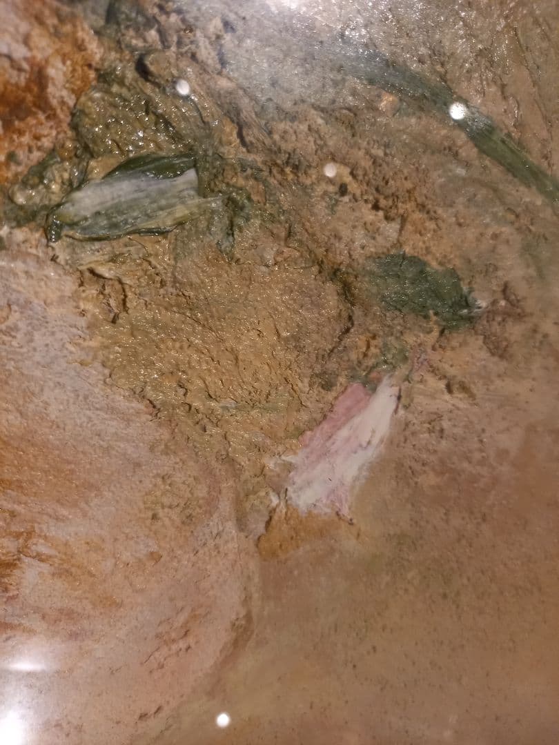 大和修治　野の花　油彩　キャンバス　額装 現代洋画精鋭選抜金賞　サイン入