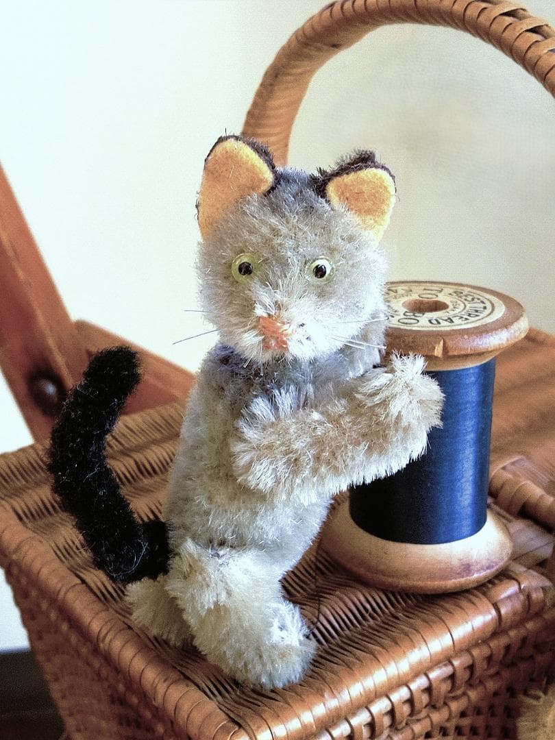 ガラス目の灰色猫さん　耳黒　シュコー　グレーキャット　ノアの箱舟シリーズ