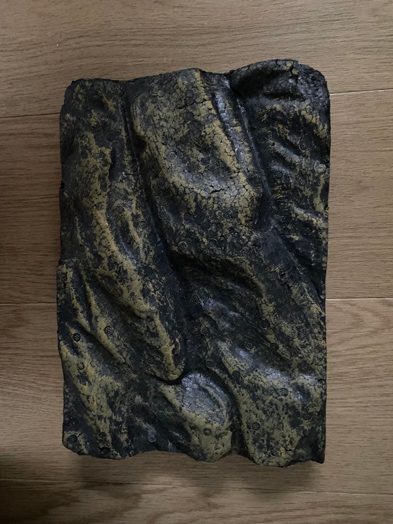 エキゾテトラ　グラステラリウムナノ PT2601