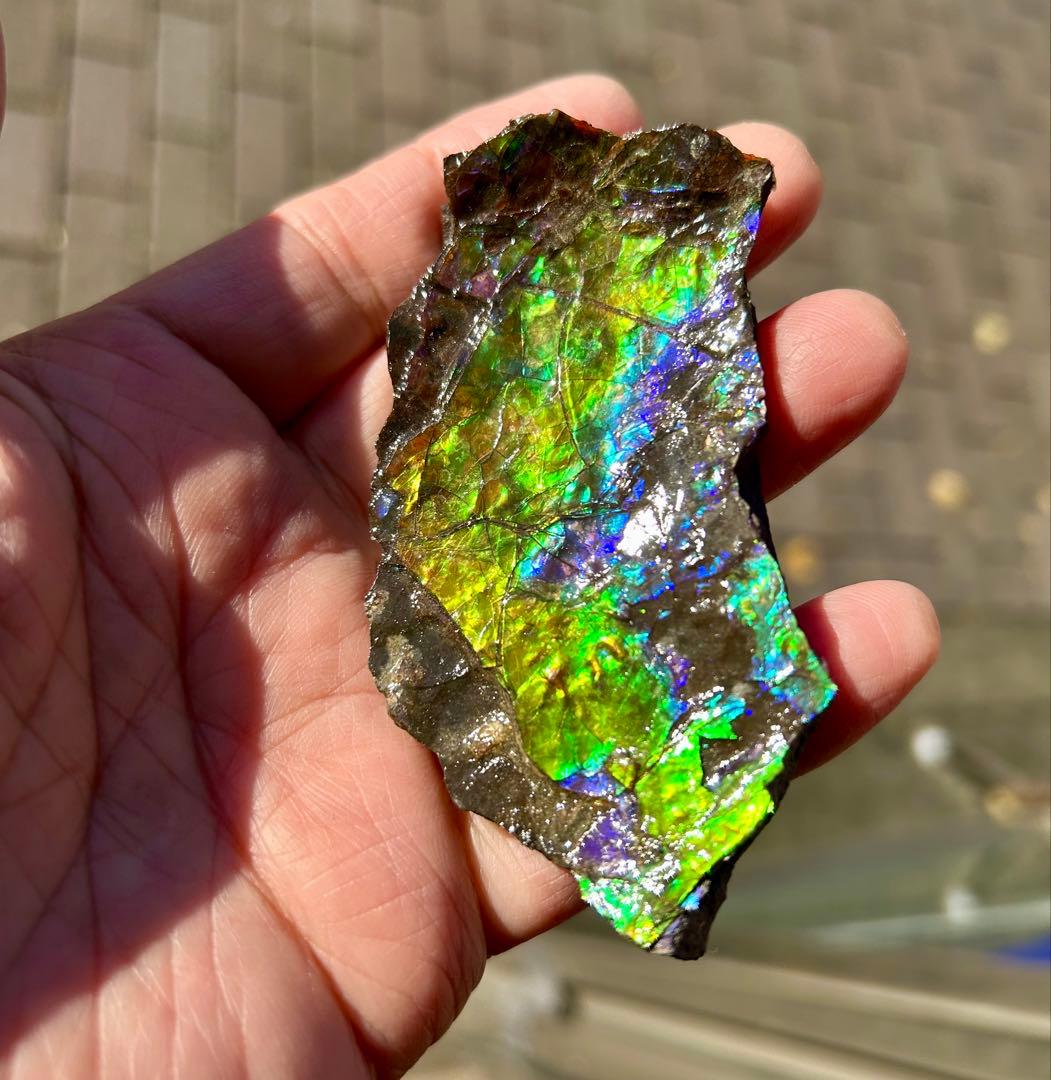 アンモライト超美品