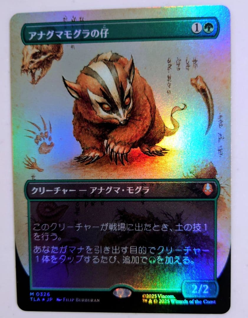 MTG アバター伝説の少年アン　アナグマモグラの仔　ボーダーレスfoil