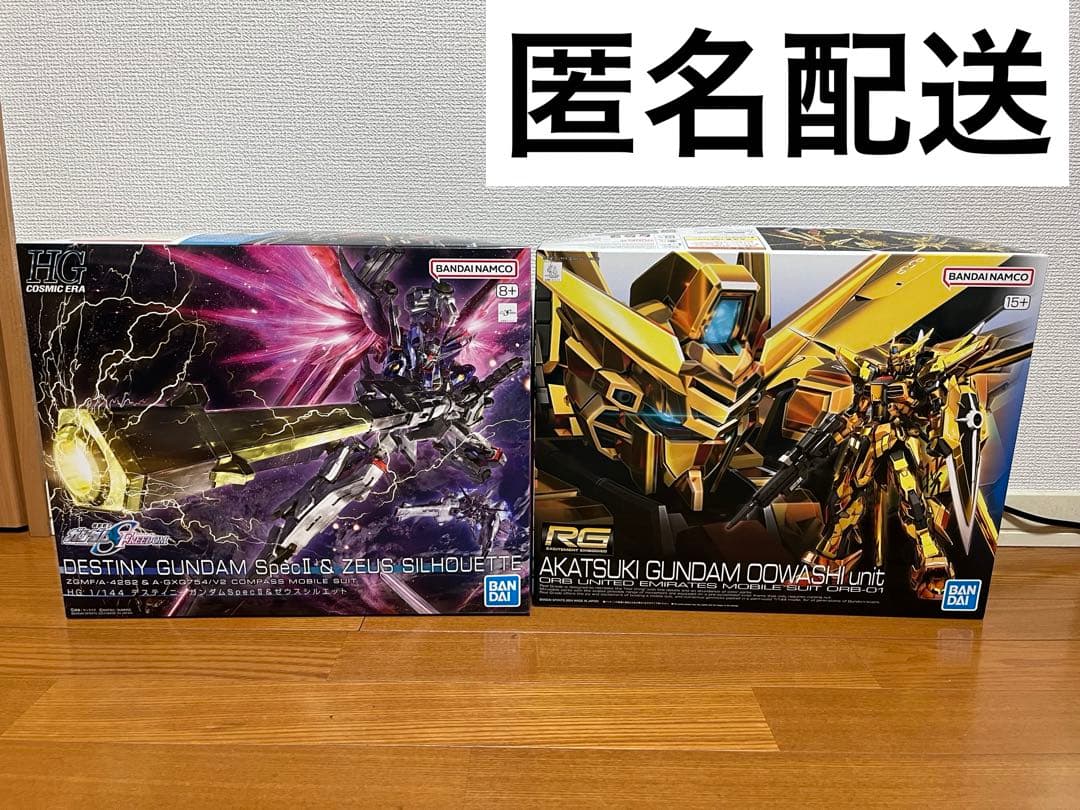 RGアカツキ　HGディスティニーSPEC2 ゼウスシルエット　セット