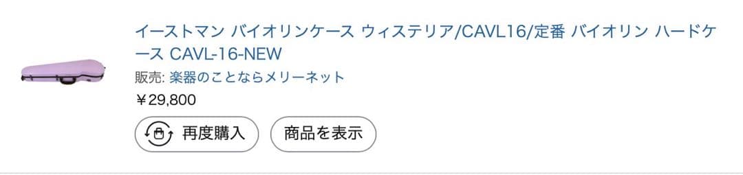 J.W.Eastman ウィステリア　バイオリンケース&バイオリンセット