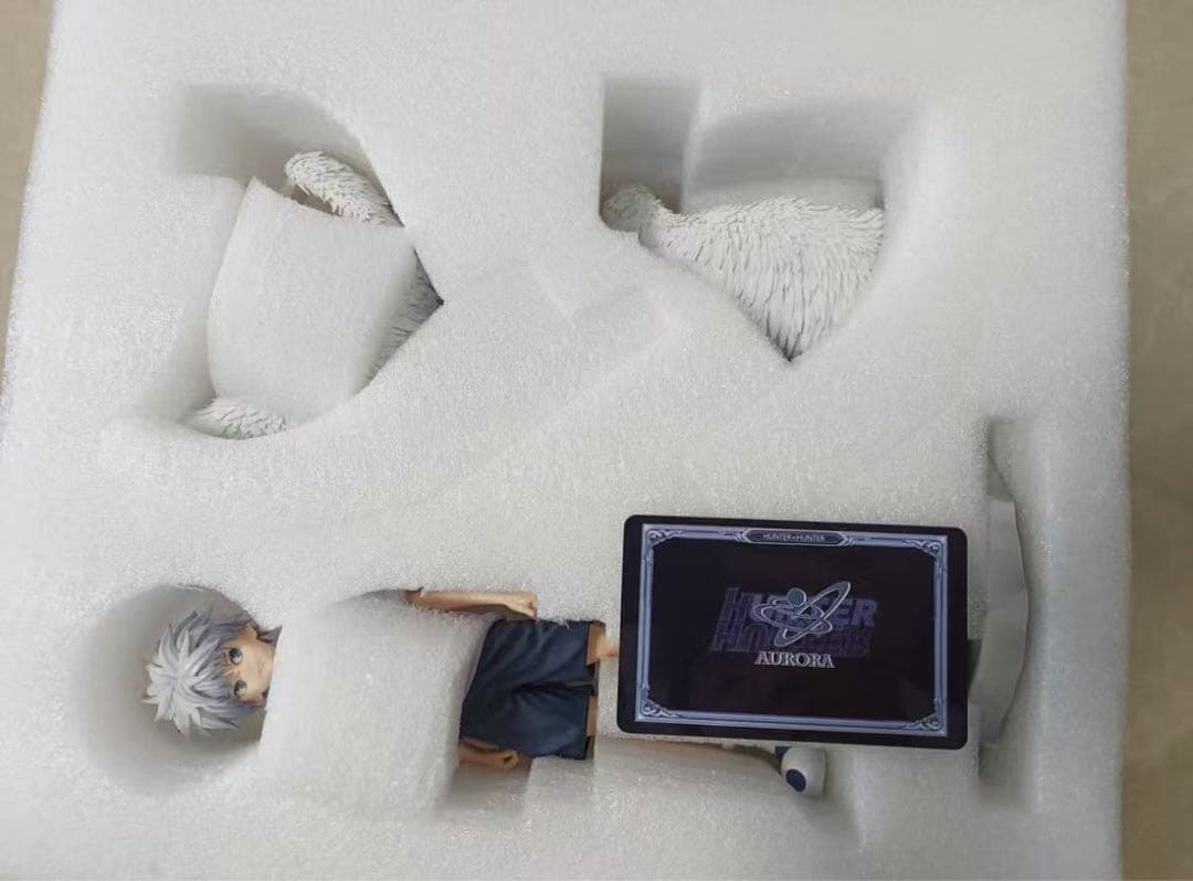 hunter×hunter キルア＝ゾルディック ガレキ ガレージキット X⑤