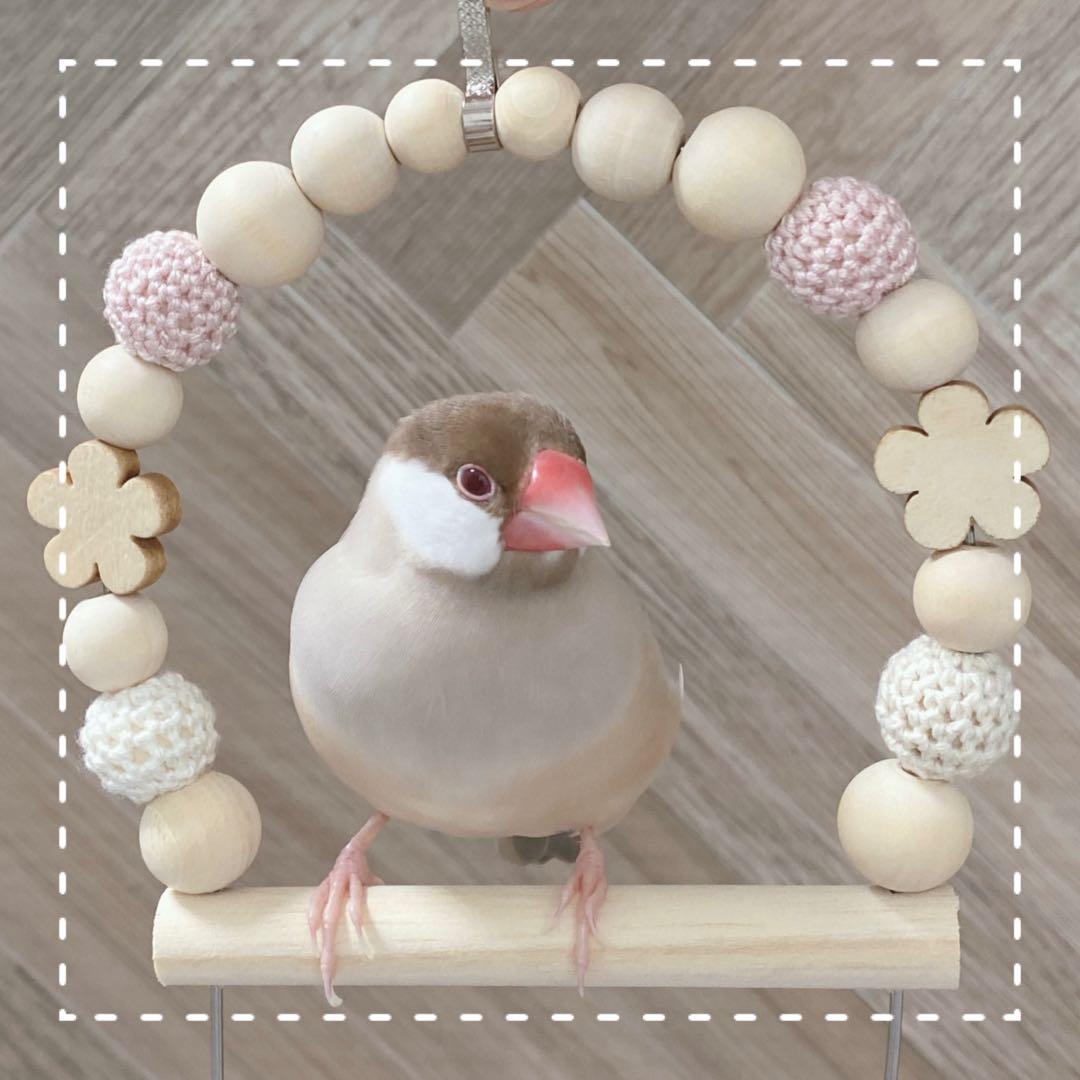 【モコ】ことりのおおきなあそびば