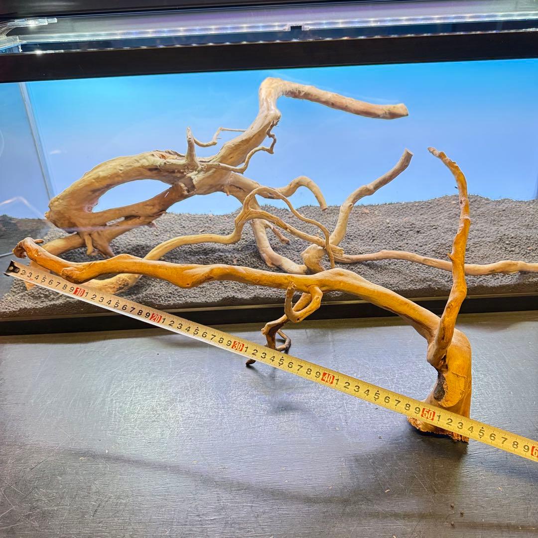 MDW-7104 ブランチウッド4本セット　流木セット　枝流木　アクアリウム