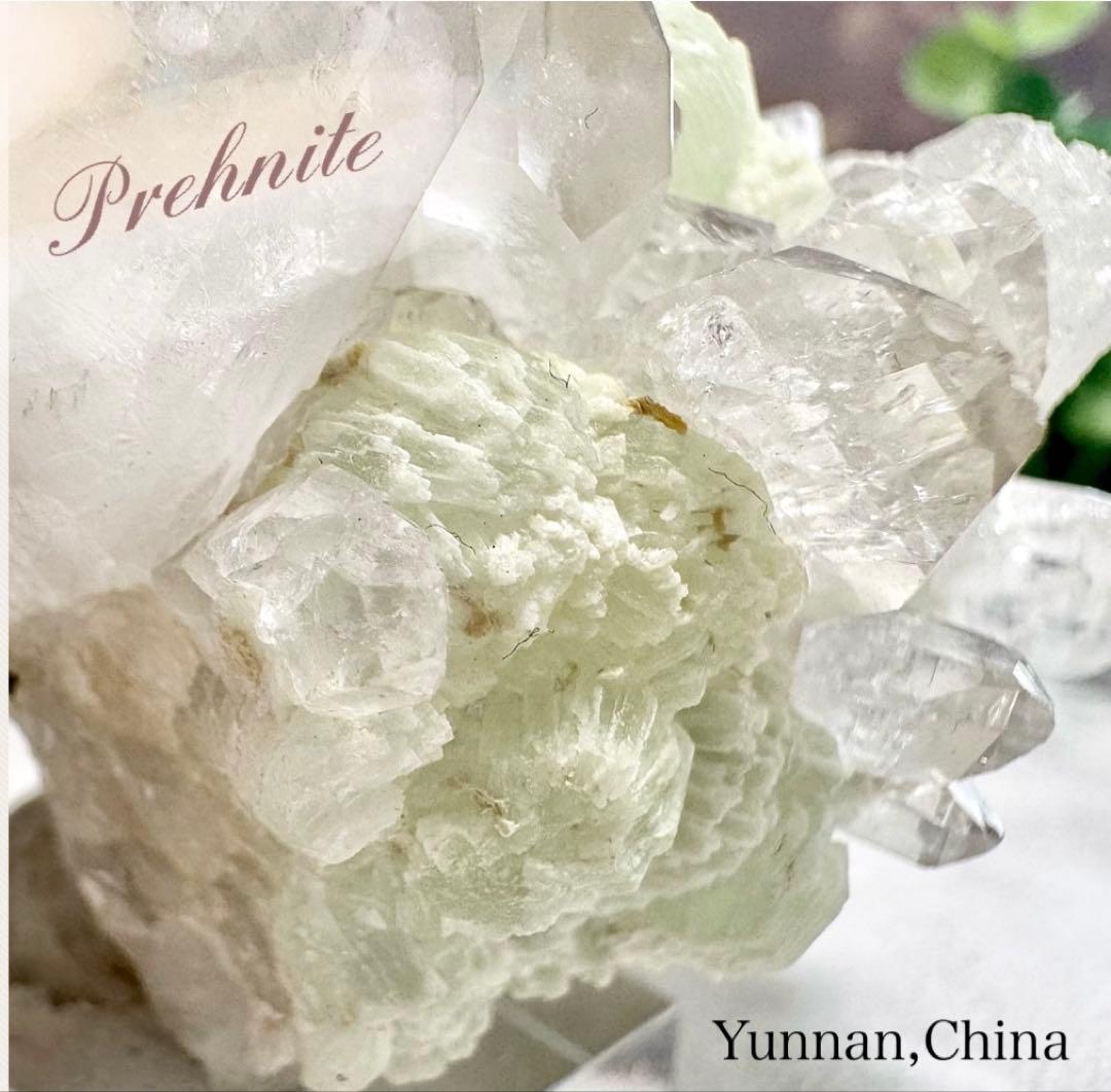 【D113】もっち様 リクエスト 2点 まとめ商品