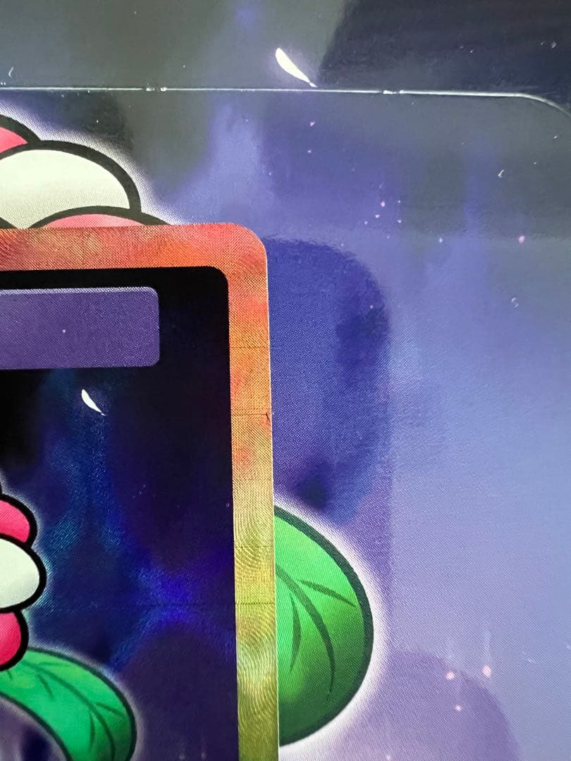 108 Flowers Revised 英語版 UR 村上　隆