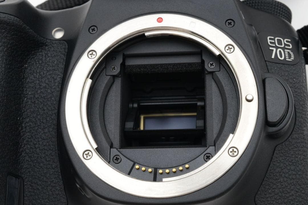 良品　2116ショット　キャノン EOS 70D ダブルレンズキット