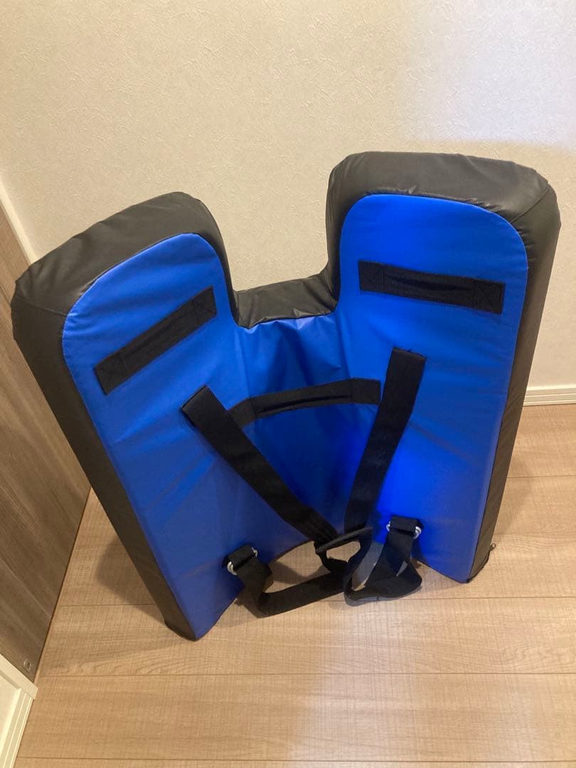 空手　キック　ボクシング　ビッグミット　マーシャルワールド