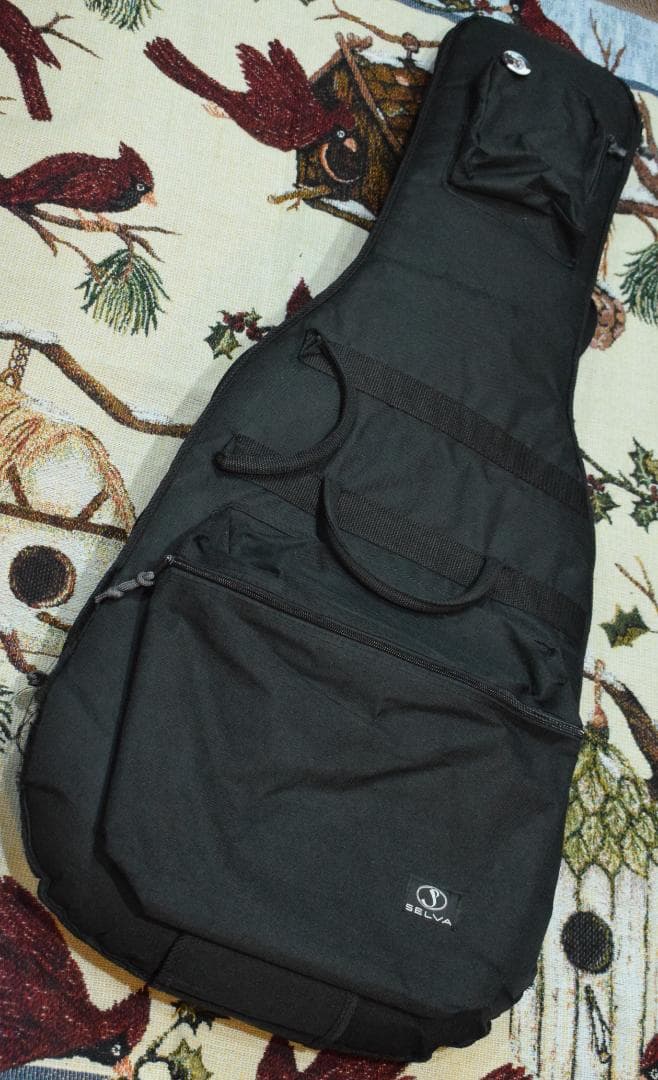 Epiphone SG PRO 2014年製 ソフトケース付