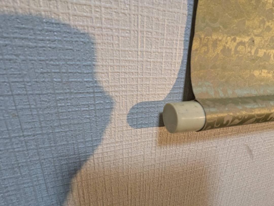 【真作】掛軸　鯉図　優雅に泳ぐ双鯉　静謐な水中表現　滑らかな筆致　S149