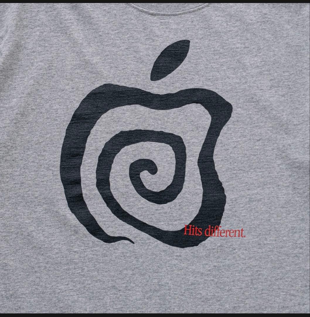 アイドル SOL soonerorlater APPLE TEE ASH XL