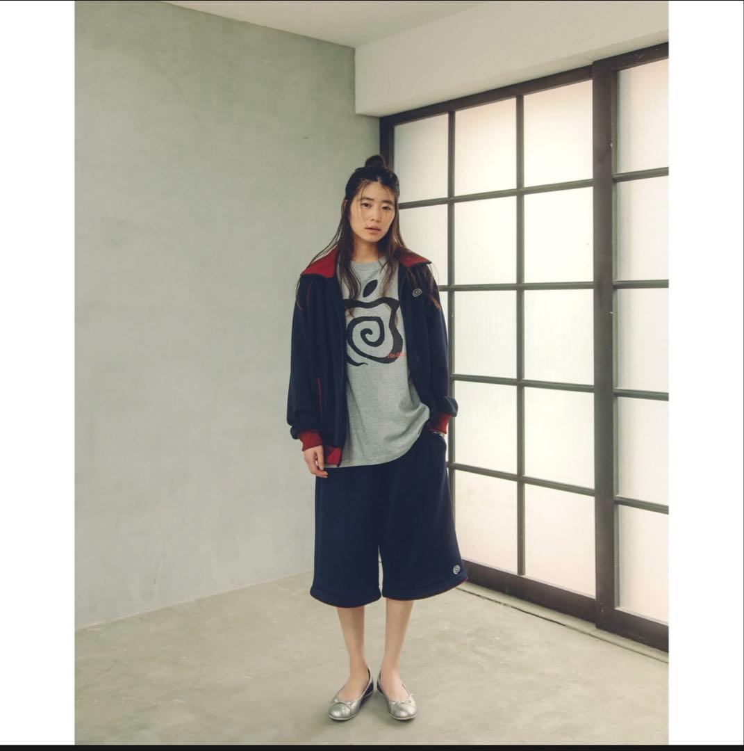 アイドル SOL soonerorlater APPLE TEE ASH XL