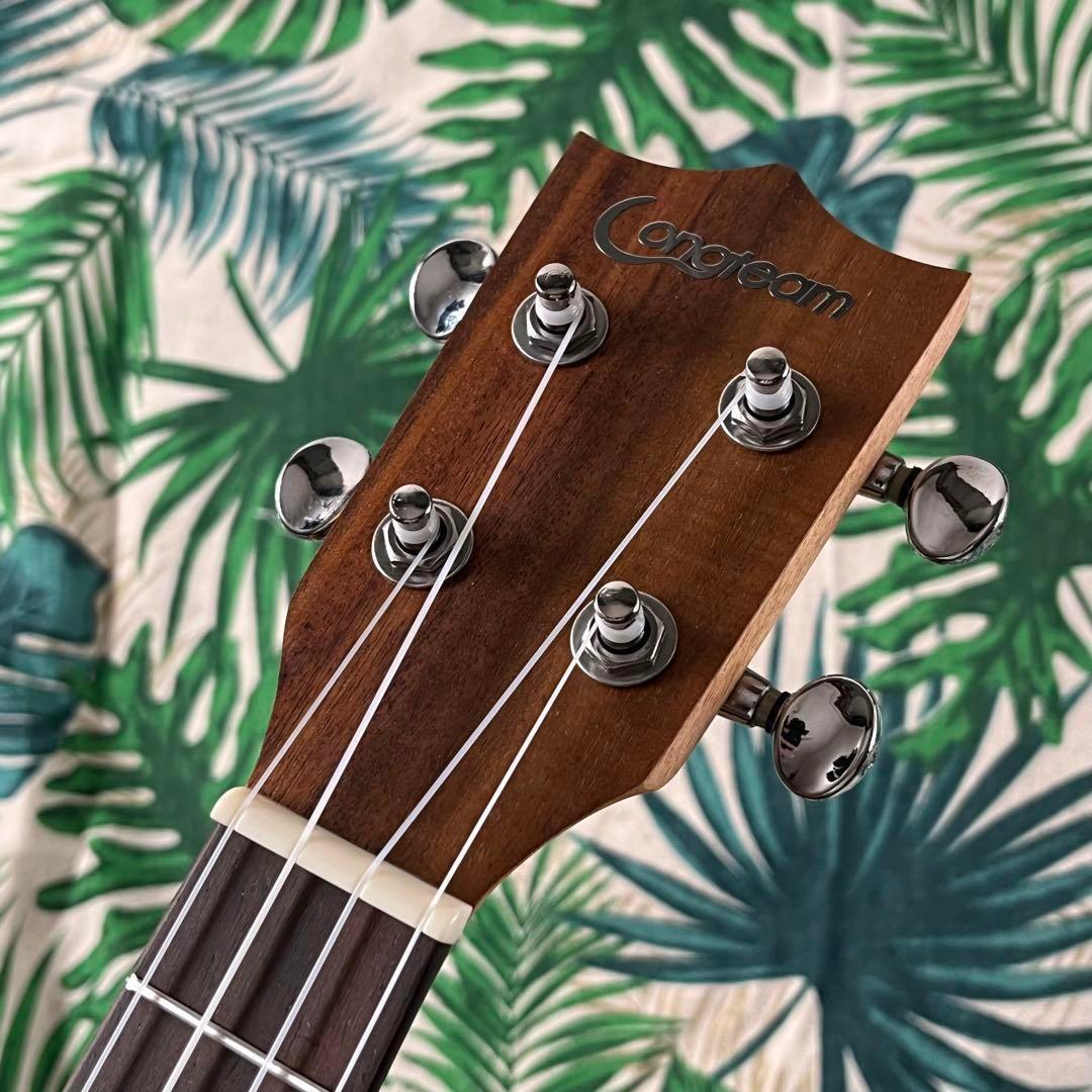 【アカシア材】Longteamのホヌ模様・コンサートウクレレ【ウクレレ専門店】