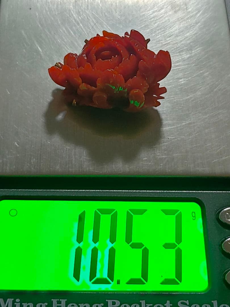 血珊瑚 バラのブローチ18k