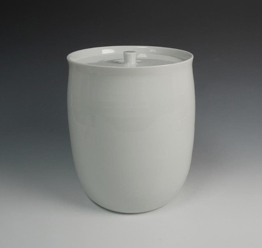 島田文雄 彩磁椿文水指 共箱 茶道具