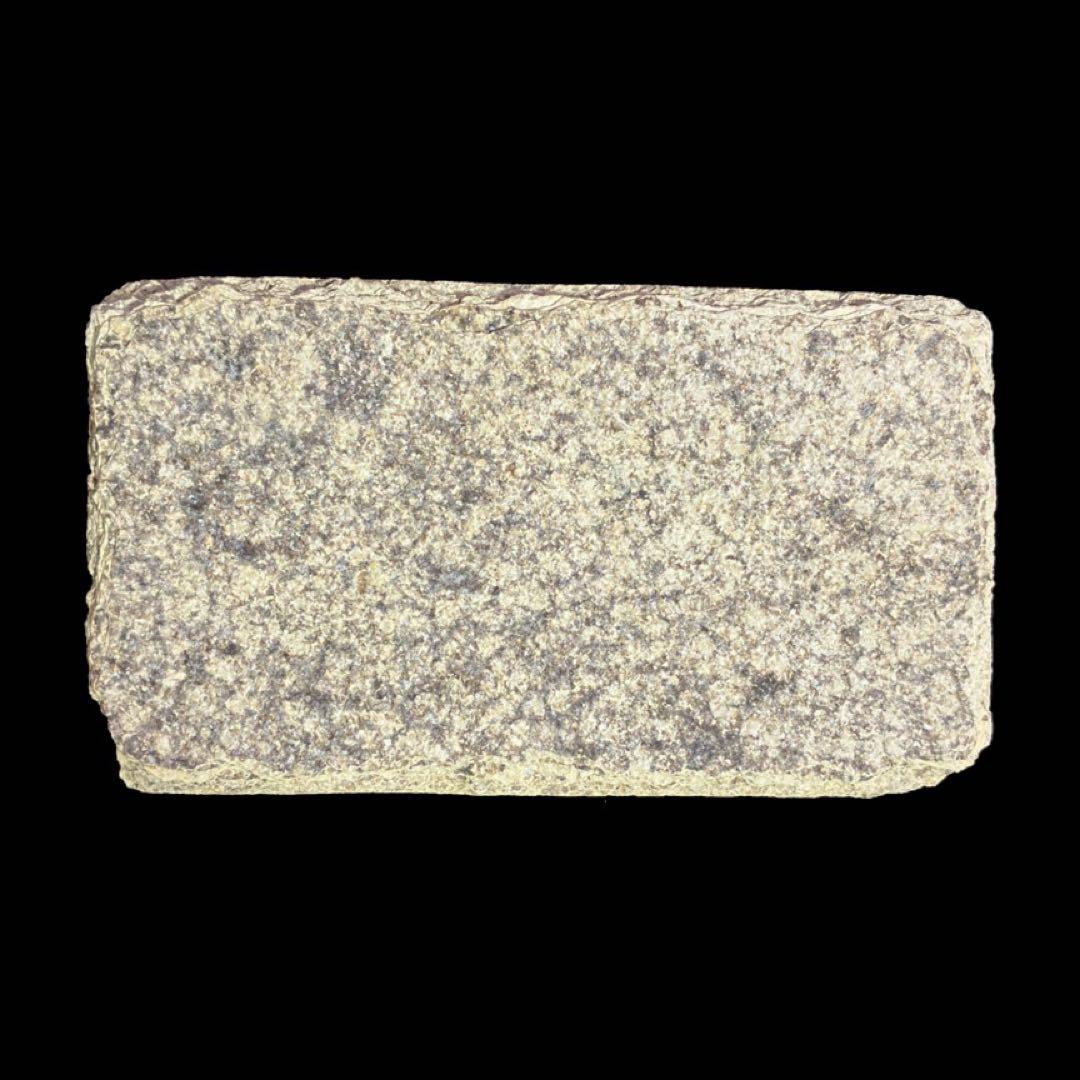 ナイティア　魚の化石　アメリカ　ワイオミング州 産　特大