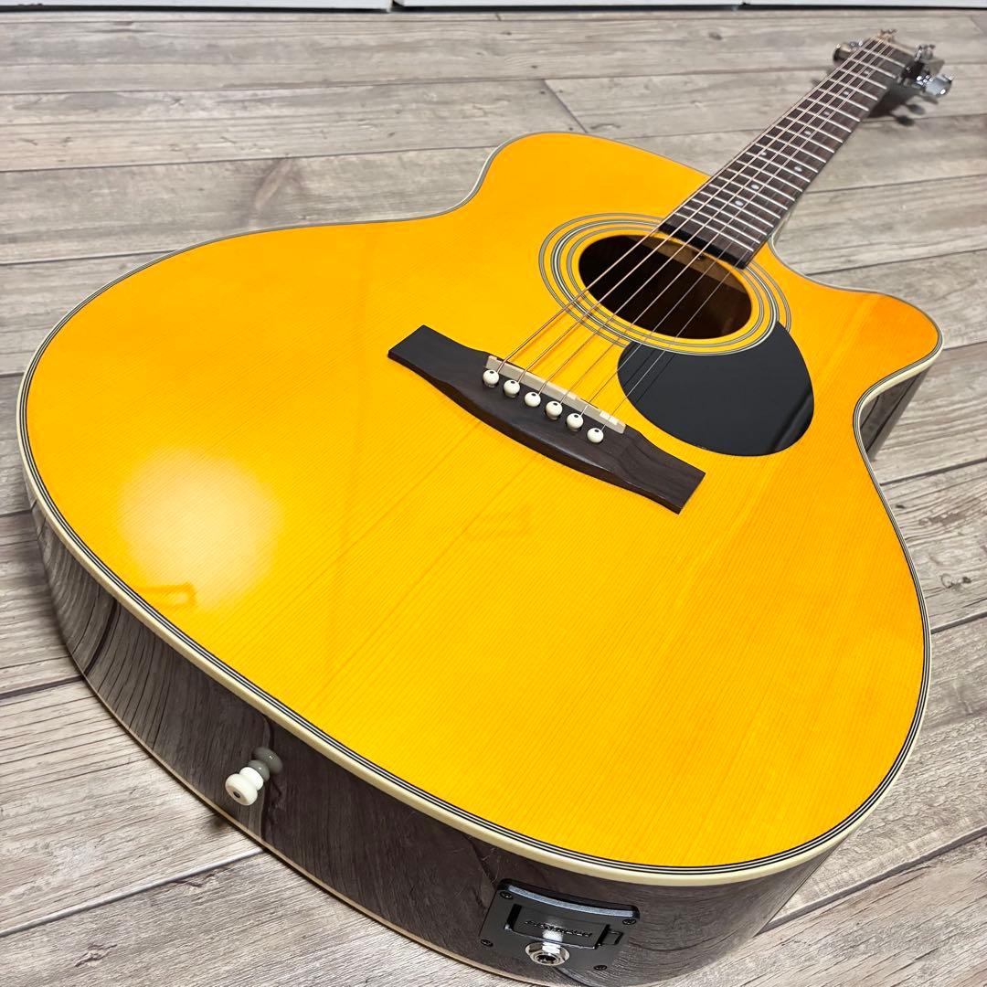 【良品】HEADWAY HEC-48 SB エレアコ セミハードケース付