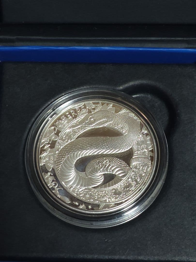 【世界3000枚限定】フランス 10ユーロ銀貨 2025 巳年（蛇）記
