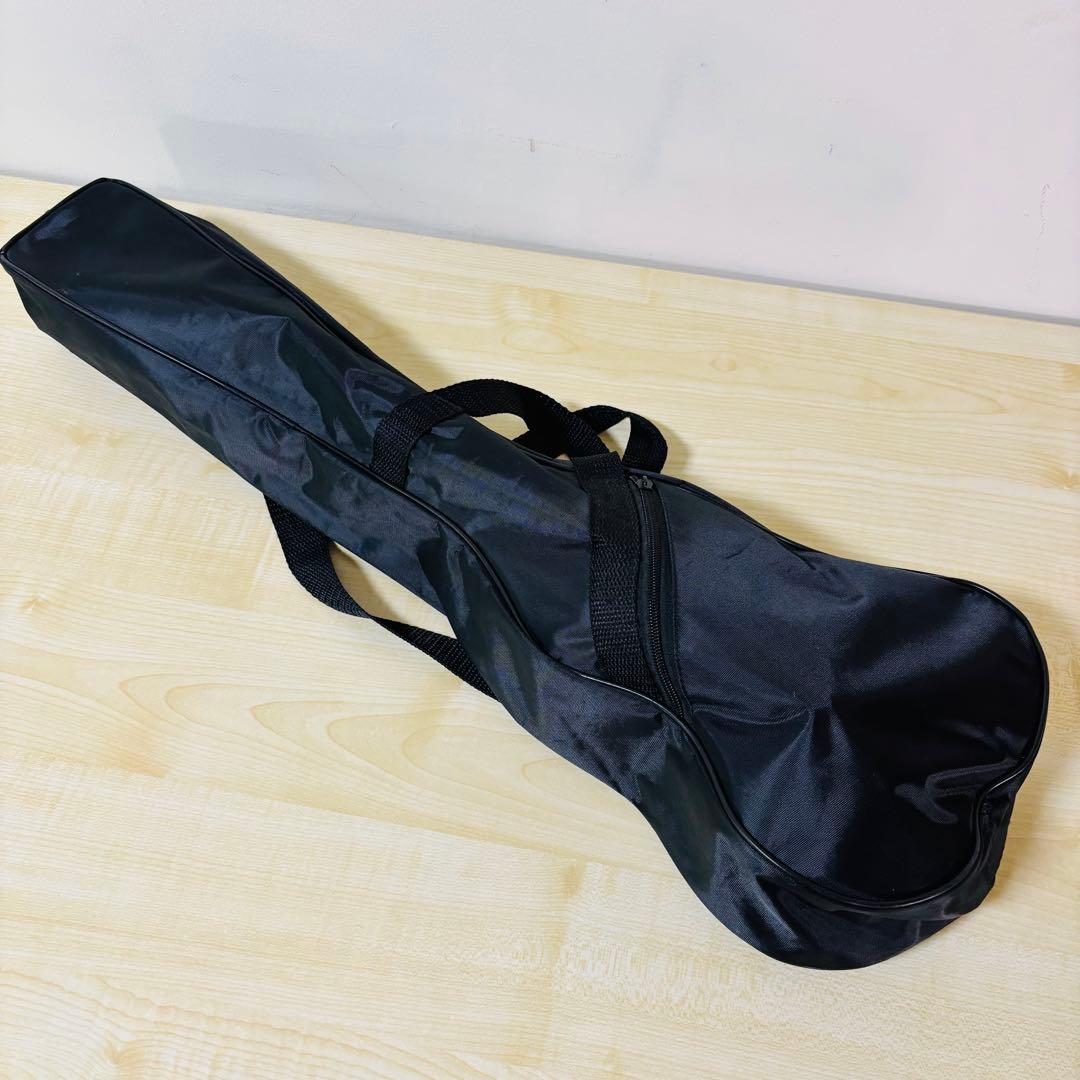 【希少品】　チャランゴ 民族楽器　ケース付属 送料込み