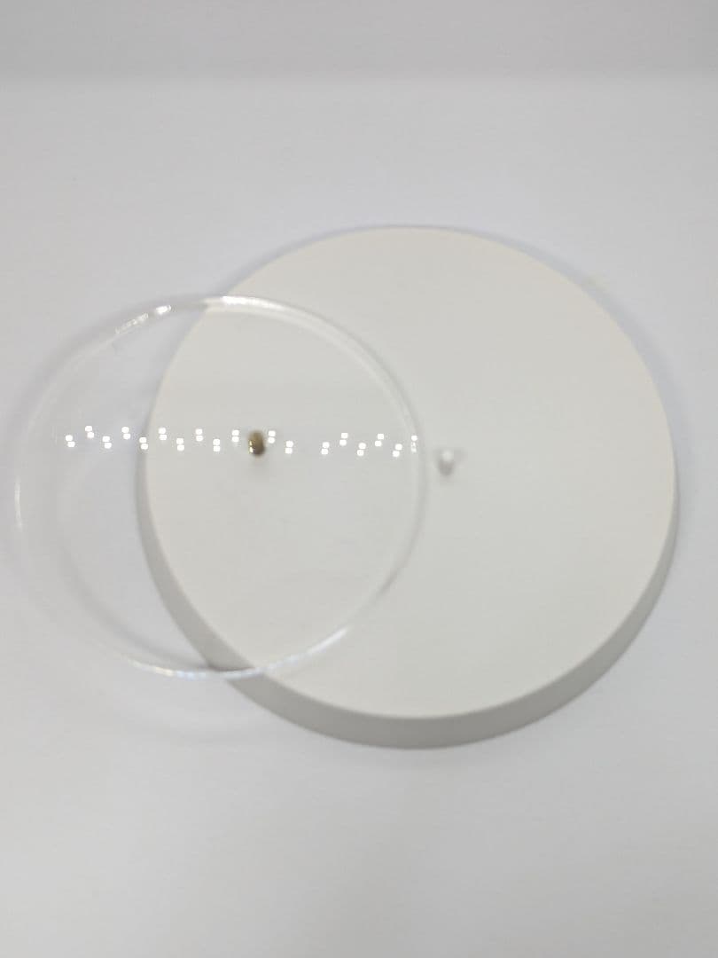 ヨスガノソラ 春日野穹 水着ver. 1/6 完成品フィギュア[Q-six