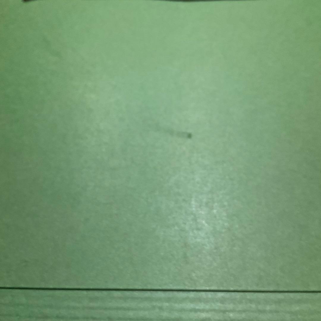 専用・絵画・額縁・油絵・岡 恵一・奧入瀬・F 4号・美術品・インテリア・雑貨