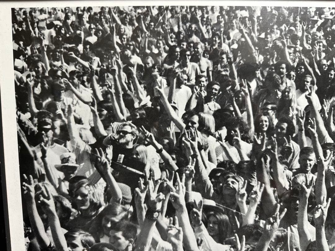 1969年　ヴィンテージポスター　The Youngbloods Love