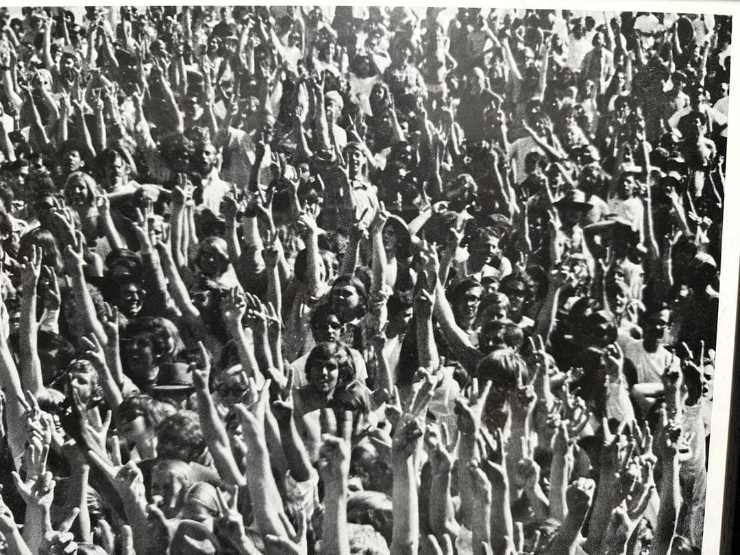 1969年　ヴィンテージポスター　The Youngbloods Love