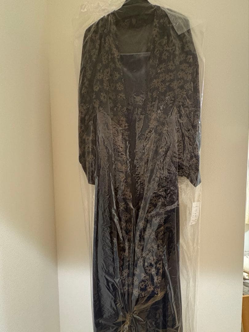 Neina オケージョンドレス