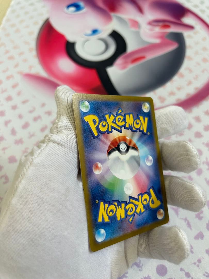 テラスタルフェス　ブイズsar8種セット