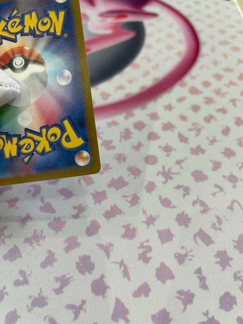 テラスタルフェス　ブイズsar8種セット