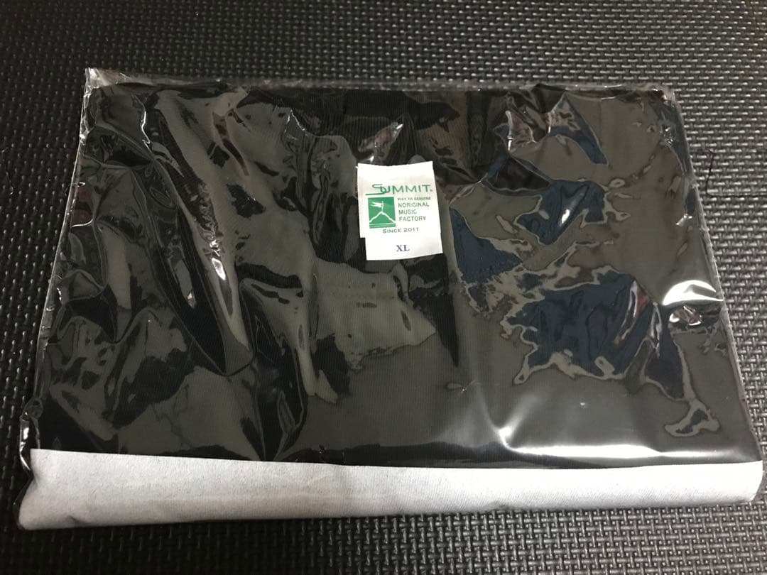 C.O.S.A / Tシャツ Summit XL