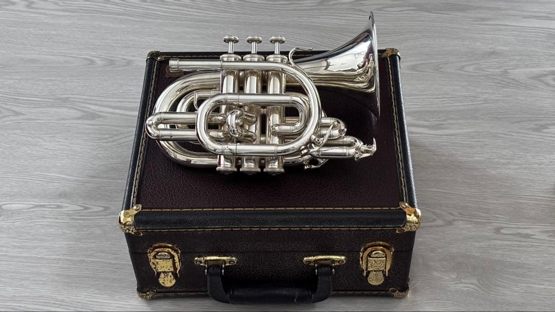 ようかん ポケットトランペット マルカート ソフィア