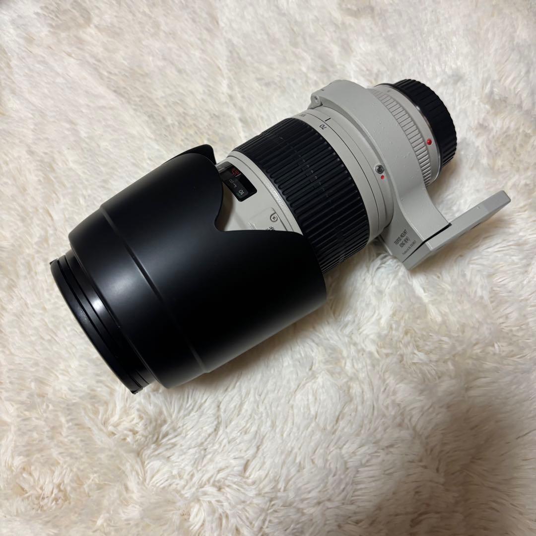 Canon EF 70-200mm f/2.8L レンズ