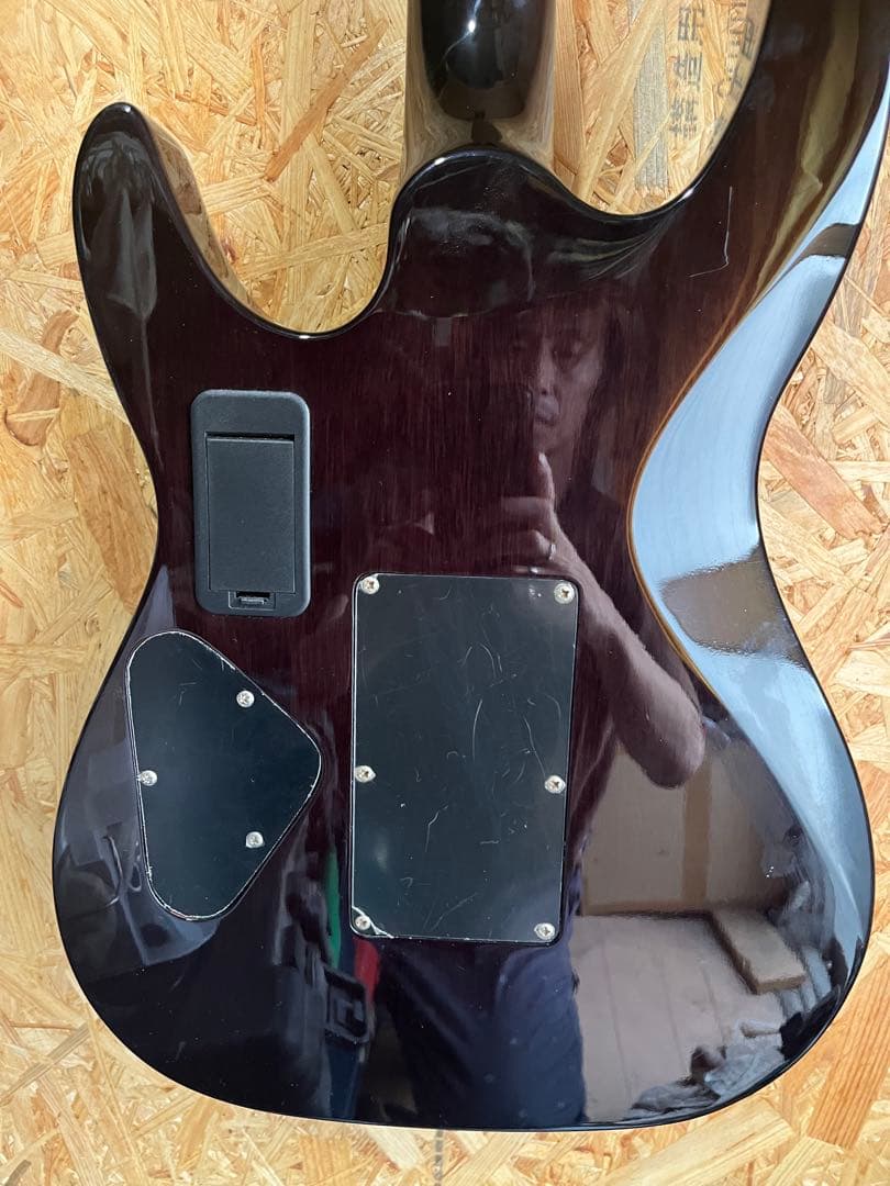 ギター DBZ Guitars BARCHETTA EM-FR EMG