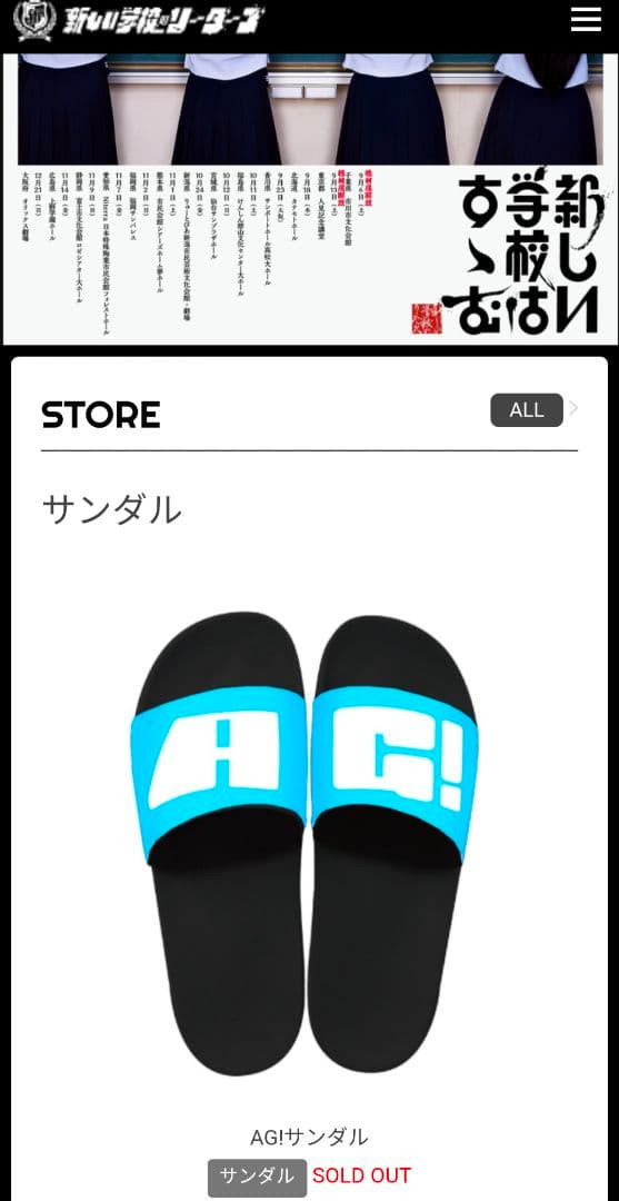 メンバー愛用 新しい学校のリーダーズ　公式サンダル LLサイズ　激レア 本物