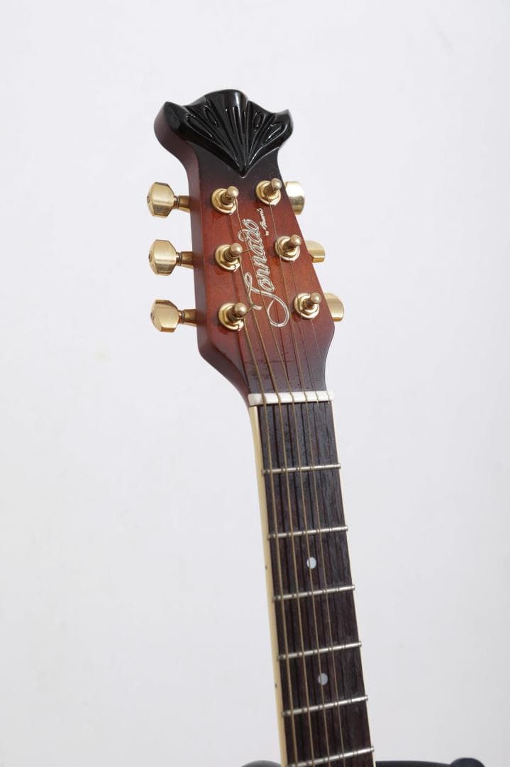 Morris Tornado ZIIII（エレアコ）ソフトケース付き