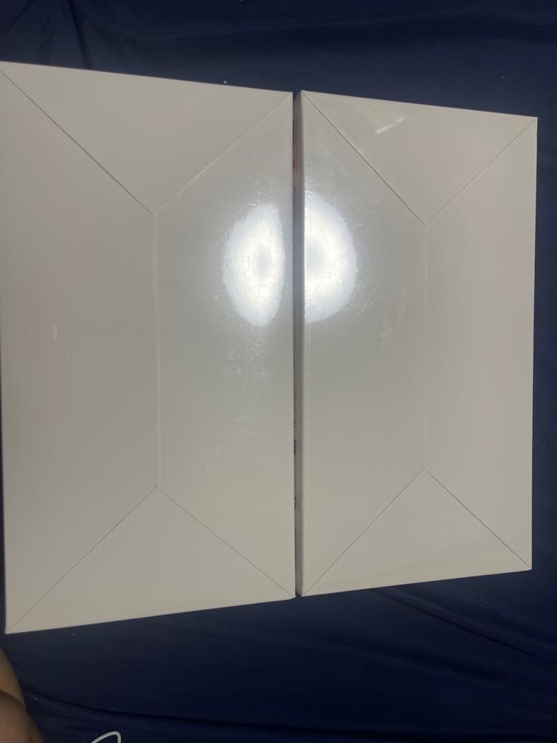 POPMART ラブブBig into Energy アソートボックス国内正規品