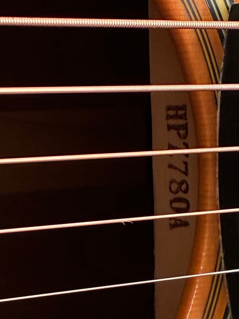 ヤマハfgx5純正ハードケース付き