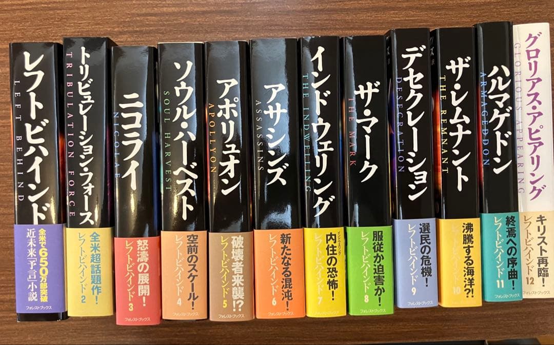 近未来小説レフト・ビハインド シリーズ 全巻セット