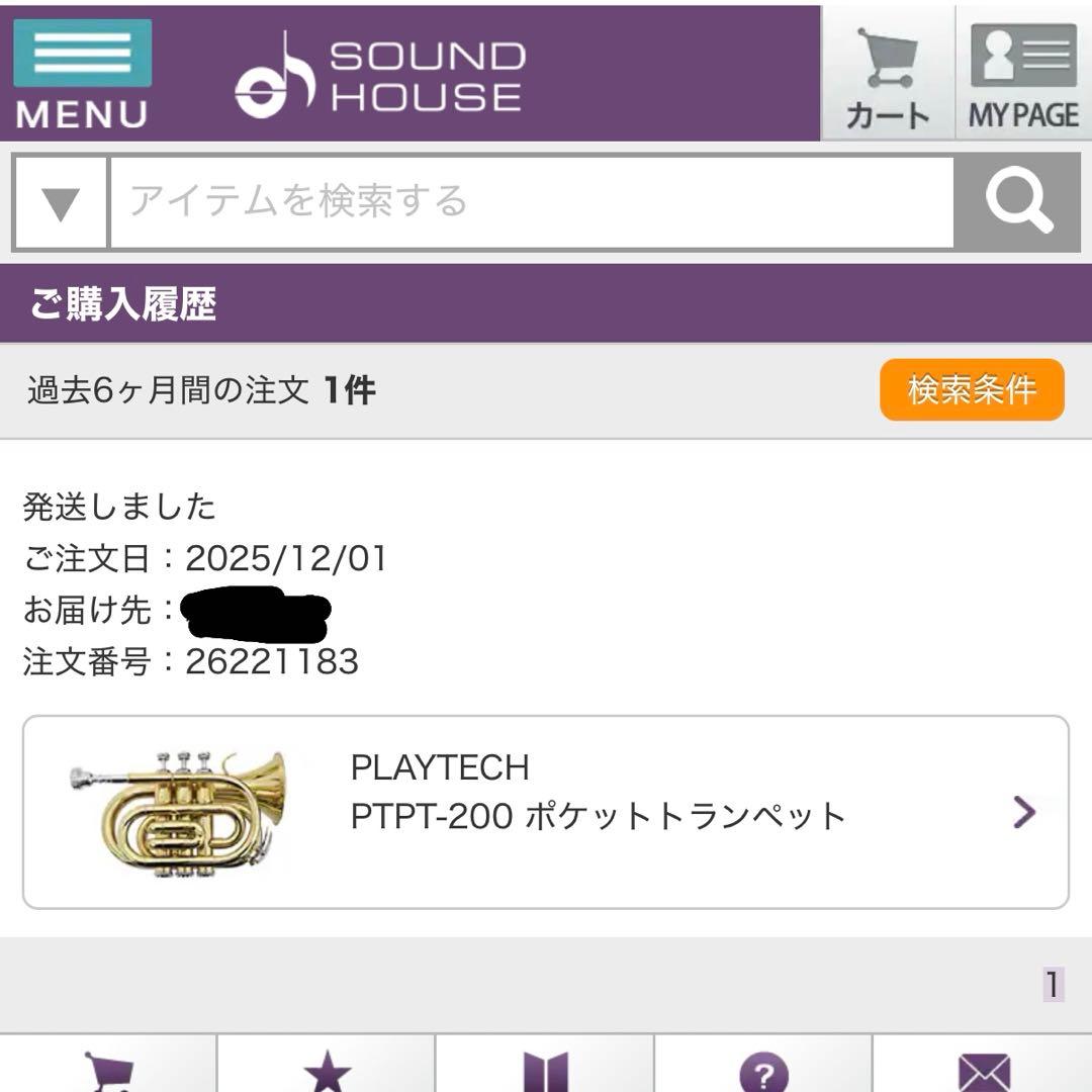 Playtech（プレイテック） ポケットトランペット バルブオイル付き